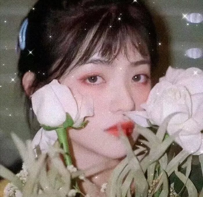 飞车女童党